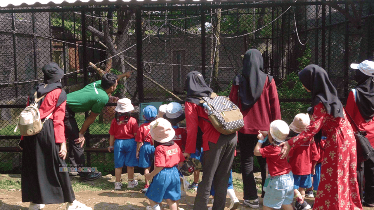 Keliling melihat satwa di Batang Dolphin Center