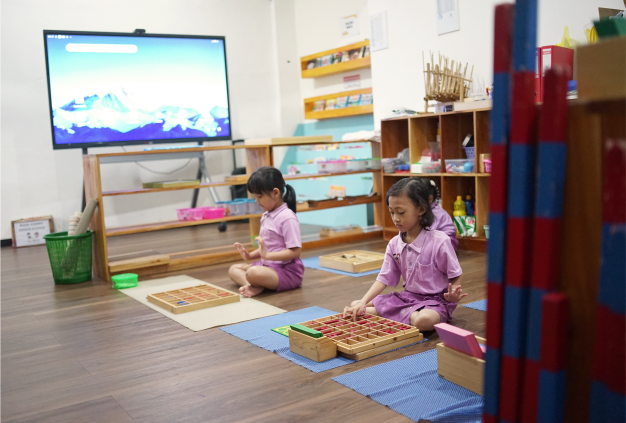 Montessori Activity
